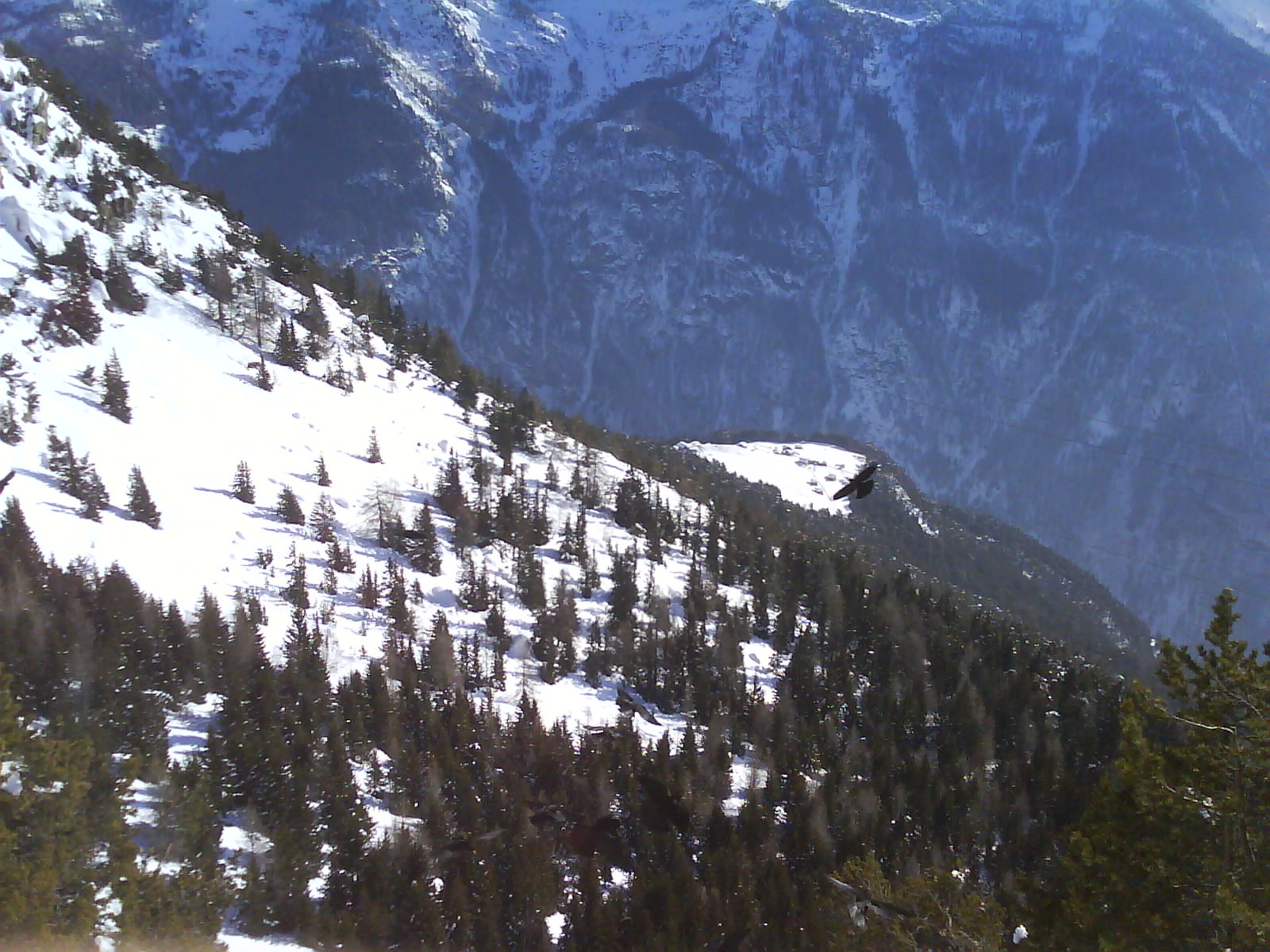 DSC00630.JPG